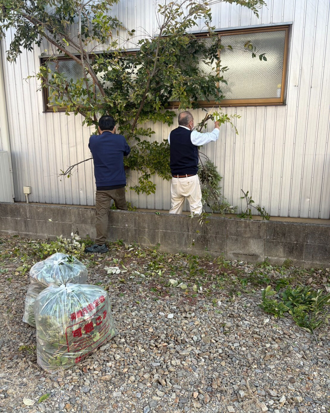 【就労継続支援B型アース久後崎町】での出来事です♪